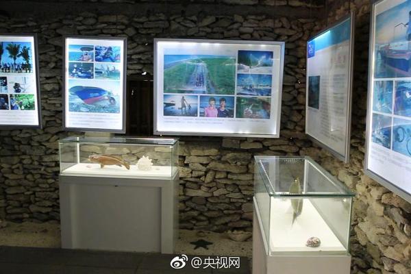廣東2020年10月份發電合同轉讓集中交易：平均成交價292.85厘/千瓦時