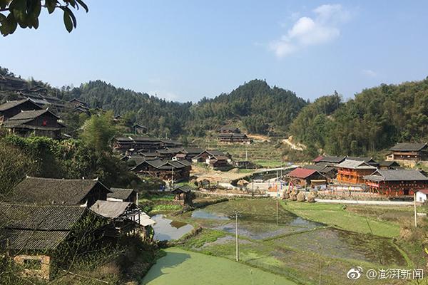 國家電網：挖掘應用線損大數據 構建高效治損閉環
