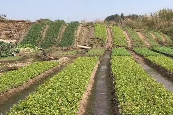 相約大潤發，汰漬與海清邀您新年把愛帶回家