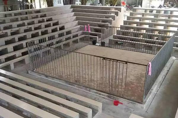 淘寶上線熱搜功能：約50%用戶可看到 隨熱度實時更新