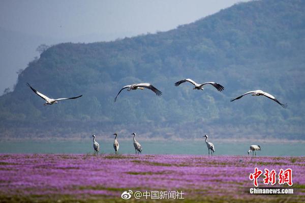 創(chuàng)新電力交易機(jī)制 打造清潔能源發(fā)展“壓艙石”
