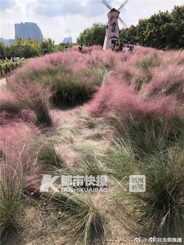 甘肅蘭州供電 ：保障電網(wǎng)信息網(wǎng)絡(luò)安全