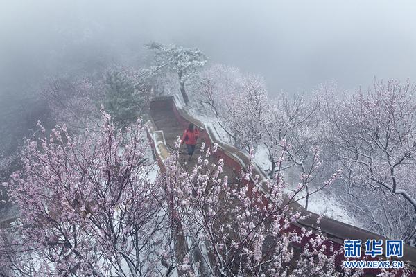 中國石油余國：油氣行業發展新能源具備優勢