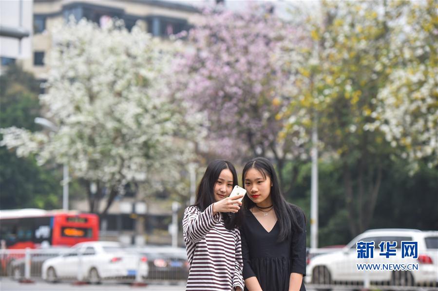2020年遼寧省電力用戶與發(fā)電企業(yè)年度電力雙邊交易有關(guān)事項提示