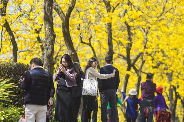 《天然氣摻氫混氣站技術規程》征求意見稿發布