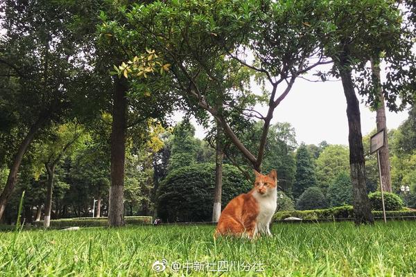 【NEX2023】第十七屆中國新能源國際博覽會暨高峰論壇開幕在即
