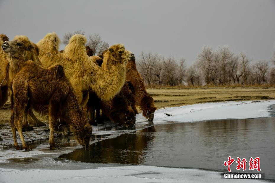 有人把李白杜甫一生的足跡做了張地圖,發現了大事情……