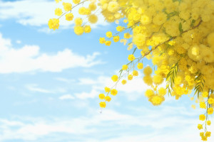 寧夏:開展2023年工業(yè)互聯(lián)網(wǎng)建設(shè)和應(yīng)用試點項目申報工作