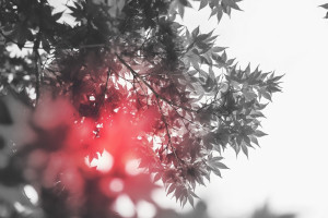 涌動的&ldquo;泉&rdquo;，發(fā)展的&ldquo;源&rdquo; ! 叮咚的泉水，滋潤了城市氣質(zhì)