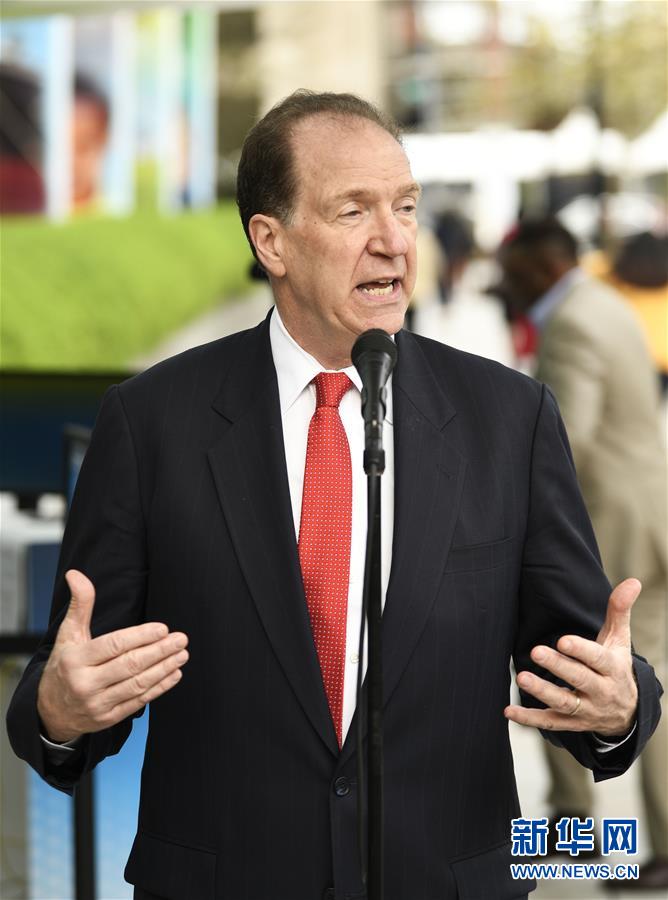 [博海拾貝1021]被光選中的貓