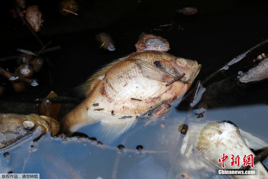 “一站式”處理！國(guó)網(wǎng)新疆電力研發(fā)臺(tái)區(qū)綜合管理系統(tǒng)