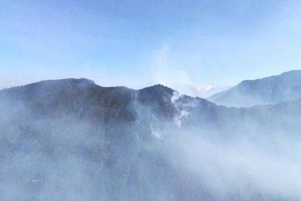 相約大潤發,汰漬與海清邀您新年把愛帶回家