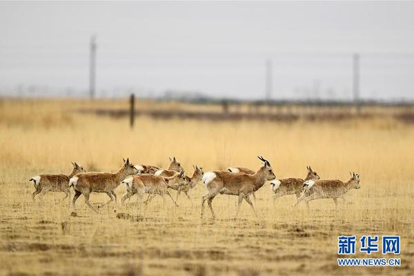 重慶磨床廠舊城改造項目—污染土壤治理修復工程公開招標!