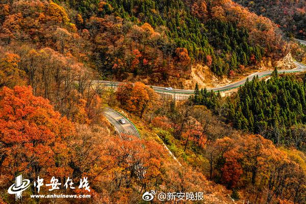 他把自家的破后院謊稱為一家高級餐廳，最后居然真的打敗了全倫敦的餐廳