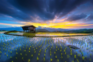 國內最高！東方氫能成功研制270kW燃料電池系統