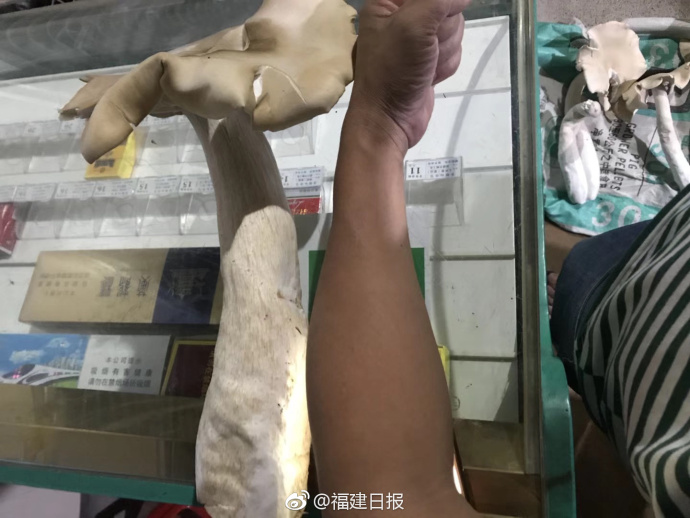特高壓智慧安裝助力工程高質量建設