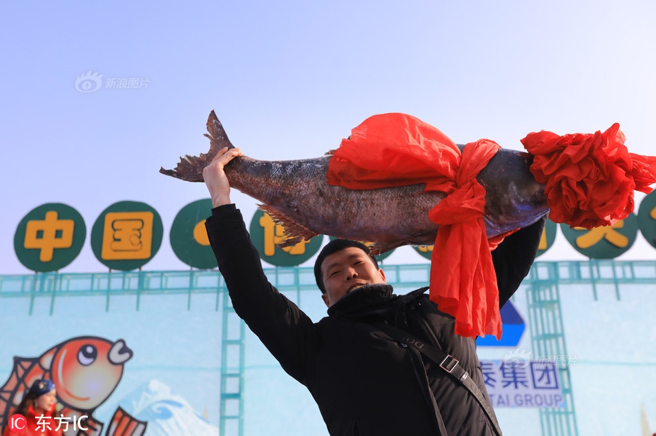 不能放開手搞錢的三年 浙江人憋壞了