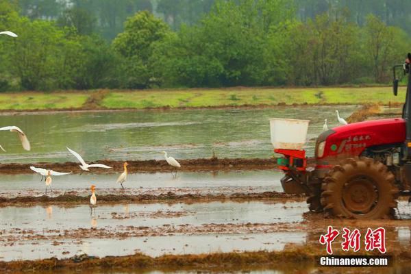 山東:力爭三年民營市場主體達(dá)1300萬戶左右,高校畢業(yè)生留魯來魯
