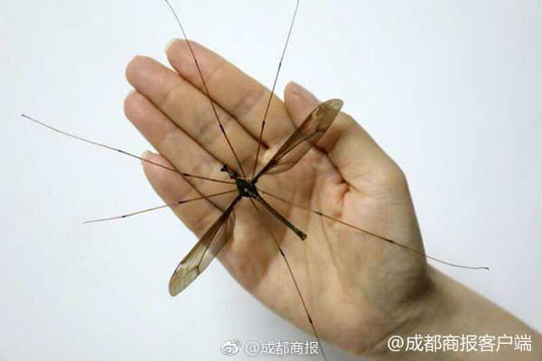 山東近期部分教育考試按程序作出適當(dāng)調(diào)整
