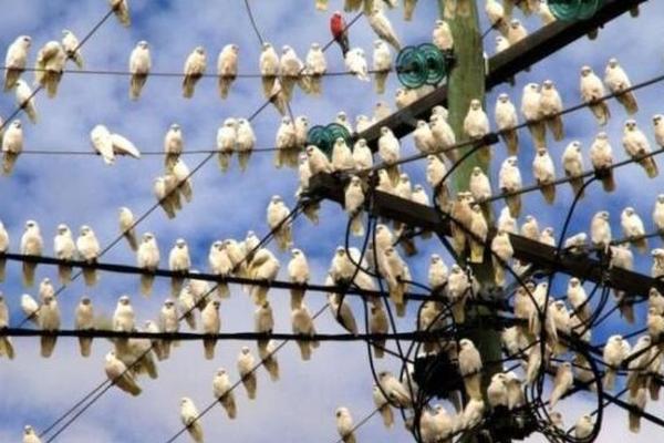 南方電網公司發布新興業務“十四五”規劃