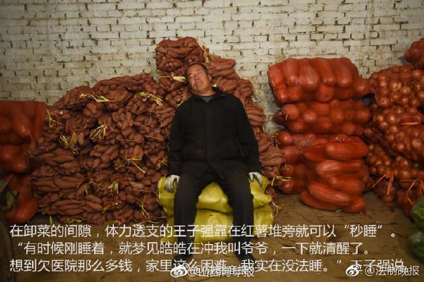在這個日本攝影師的鏡頭下,貓咪個個都是武林高手