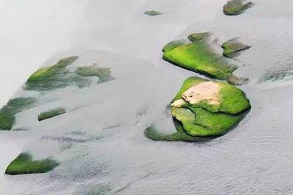 1-4月份寧夏能源生產(chǎn)情況:1-4月規(guī)模以上工業(yè)原煤產(chǎn)量3028.2萬(wàn)噸