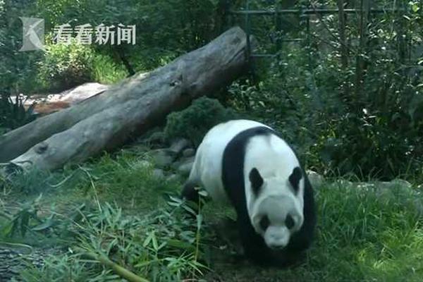 濟南港華燃氣雙組活動全面推開