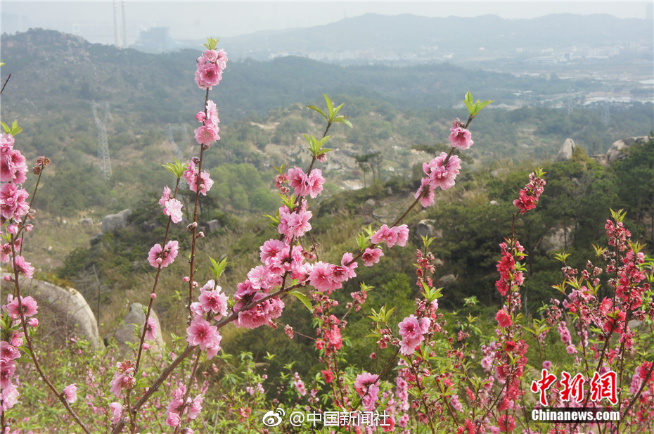 產(chǎn)業(yè)園區(qū)內(nèi)電網(wǎng)可改制為增量配電網(wǎng) 陜西清理規(guī)范電網(wǎng)和轉(zhuǎn)供電環(huán)節(jié)收費(fèi)