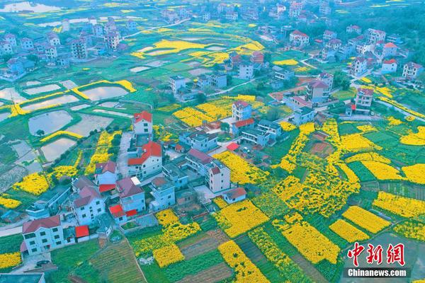 展示齊魯特色文化 提供休閑娛樂(lè)場(chǎng)所 山東高速服務(wù)區(qū)變身網(wǎng)紅打