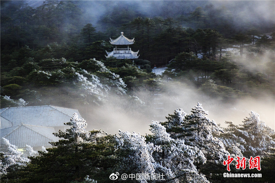公租房實物配租搖號排序12月9日舉行 搖號排序結(jié)果為選房順序