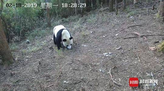 省委常委會(huì)召開會(huì)議 深入推進(jìn)全面從嚴(yán)治黨 確保各項(xiàng)工作抓實(shí)抓