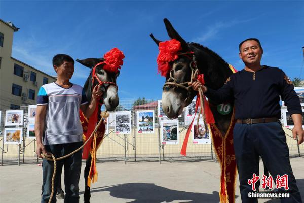 國網河南電力2023年第一次配網物資協議庫存公開招標采購中標候選人